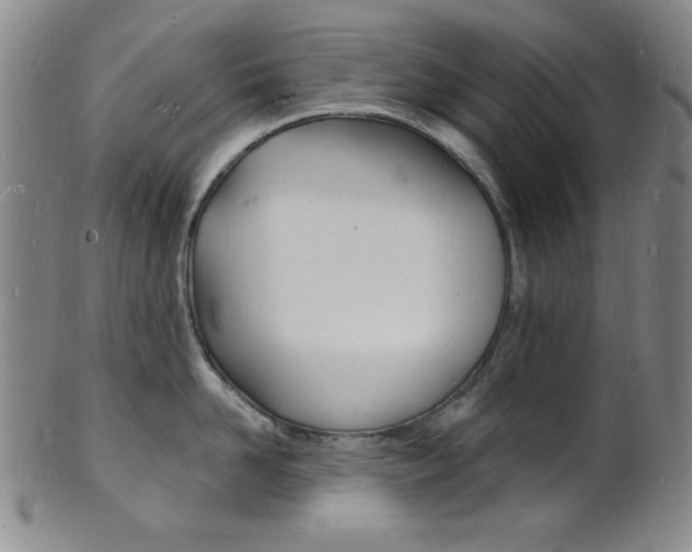 X0000101690958200807101205