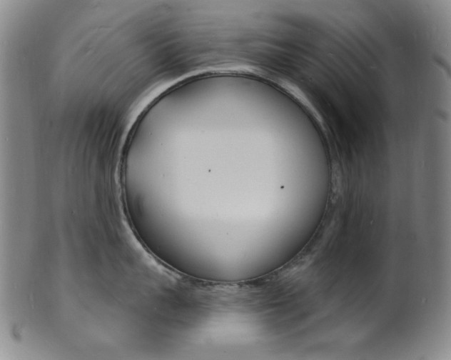 X0000101690959200807101205