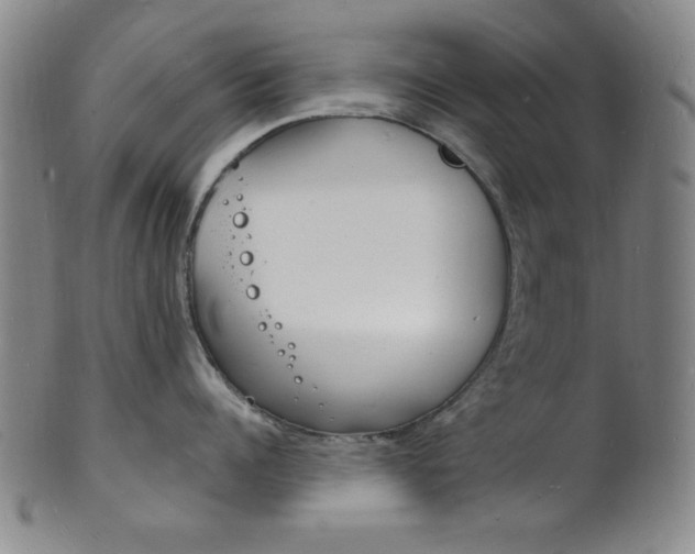 X0000101690960200807101205