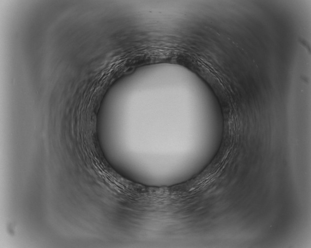X0000101690961200807101204