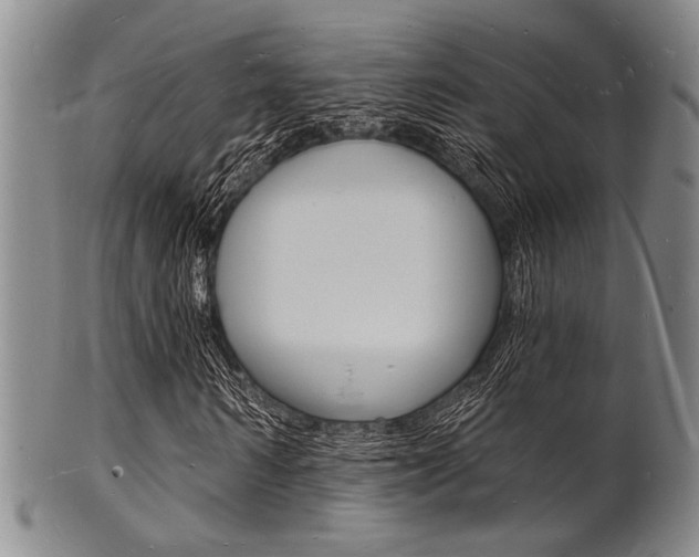X0000101690962200807101204
