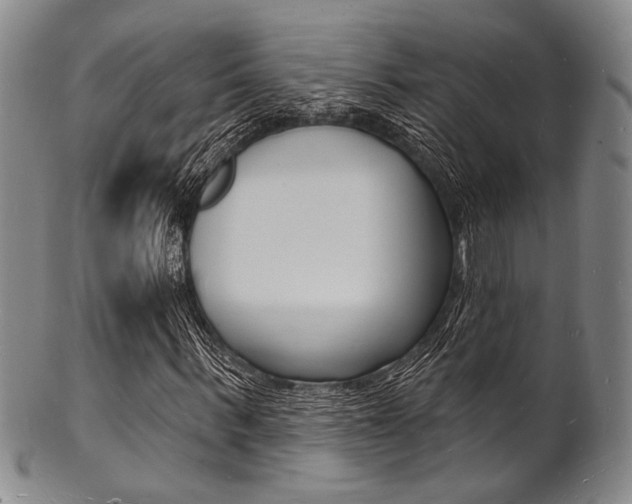 X0000101690963200807101204