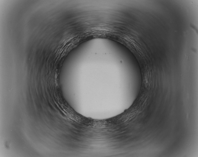 X0000101690964200807101204