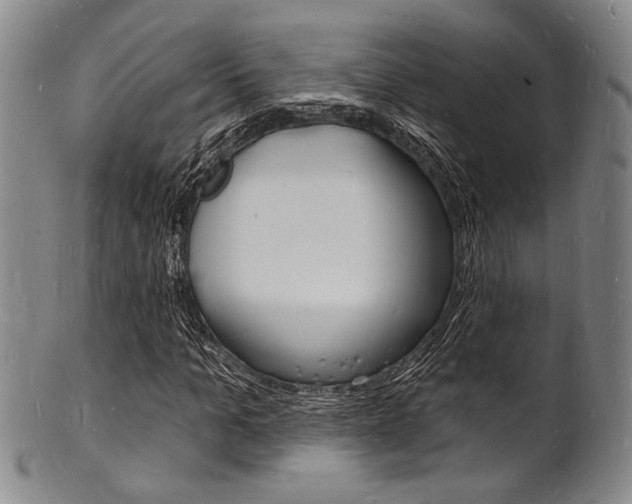 X0000101690965200807101204