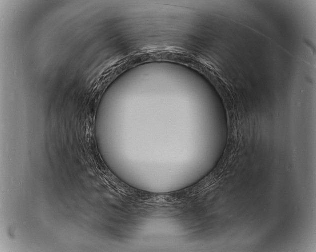 X0000101690966200807101204