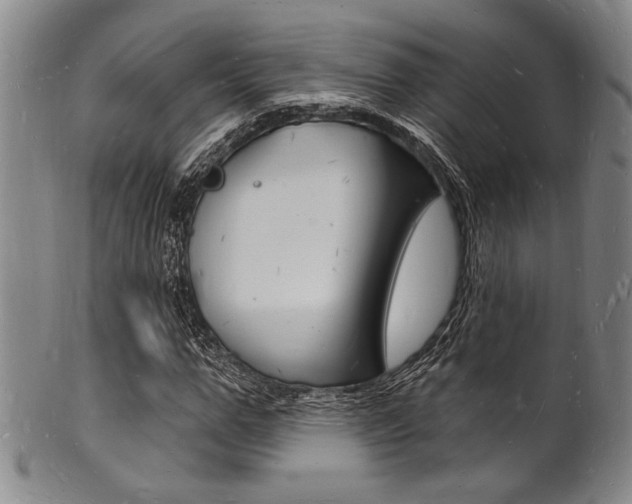 X0000101690967200807101204