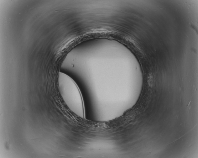 X0000101690968200807101204