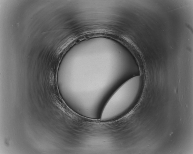 X0000101690969200807101204