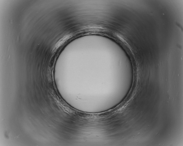 X0000101690970200807101204