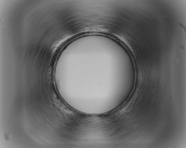 X0000101690971200807101204