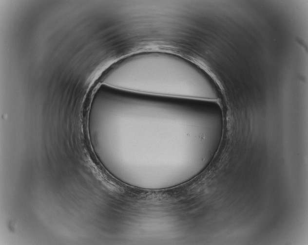 X0000101690972200807101204
