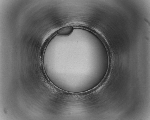X0000101690973200807101204