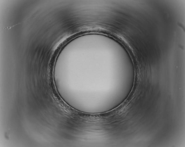 X0000101690975200807101204