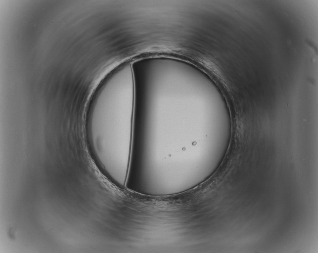 X0000101690976200807101204