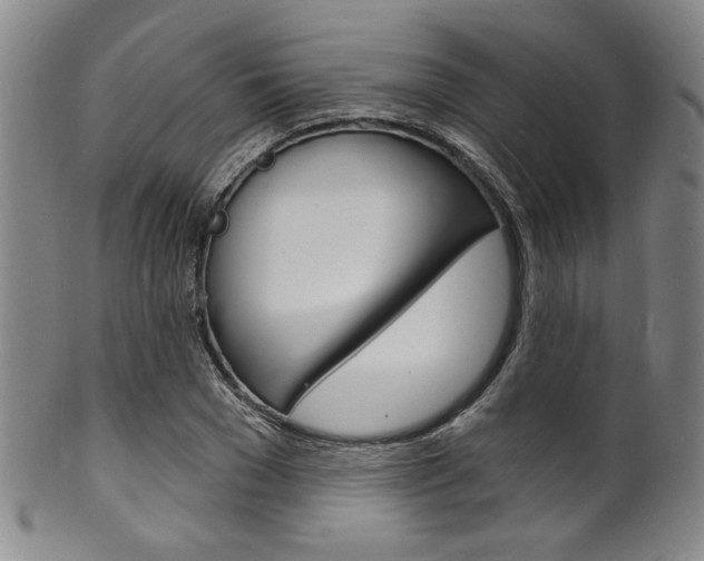 X0000101690977200807101204