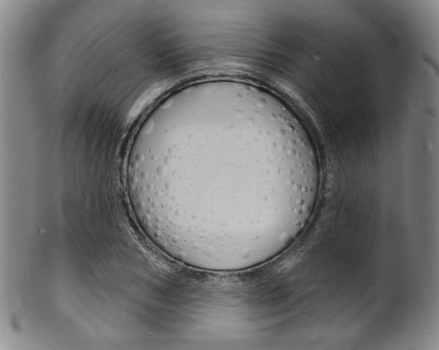 X0000101690978200807101204