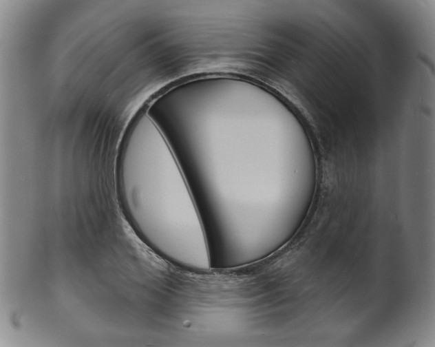 X0000101690980200807101204