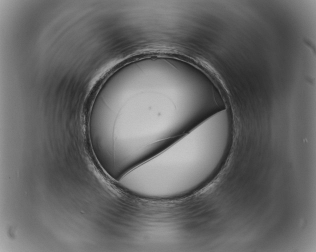 X0000101690981200807101204