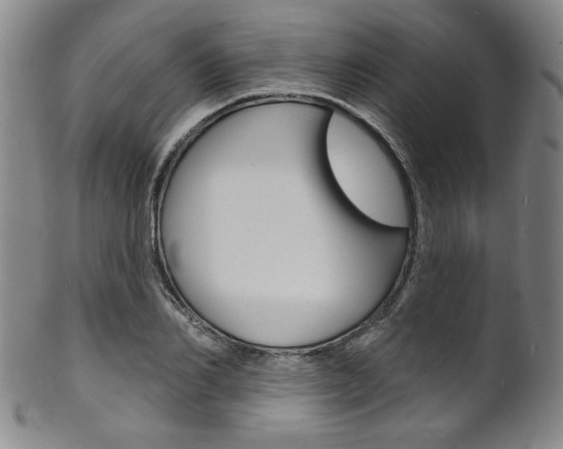 X0000101690982200807101204