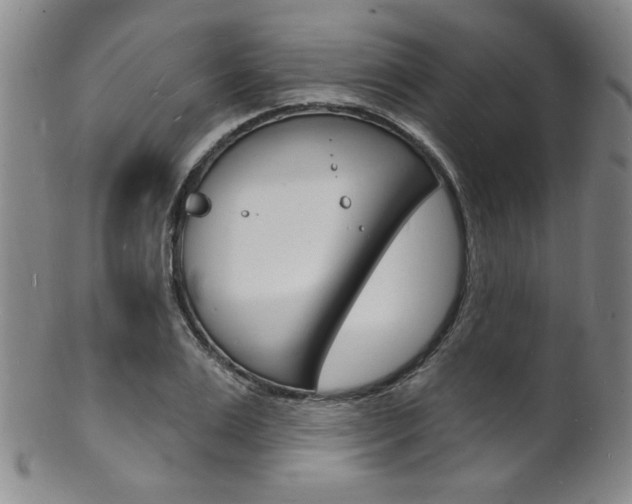 X0000101690983200807101204