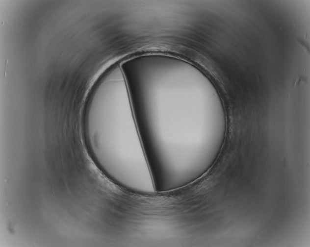 X0000101690984200807101204