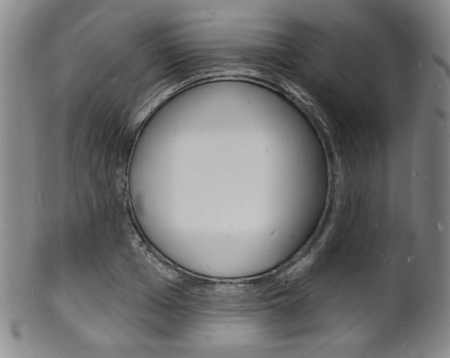 X0000101690985200807101204