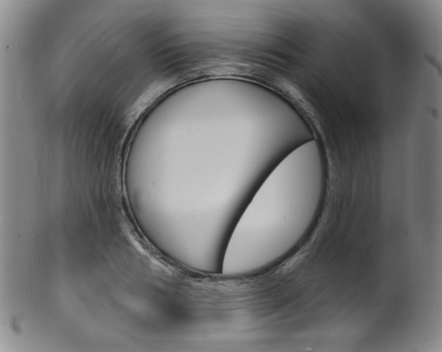 X0000101690986200807101204