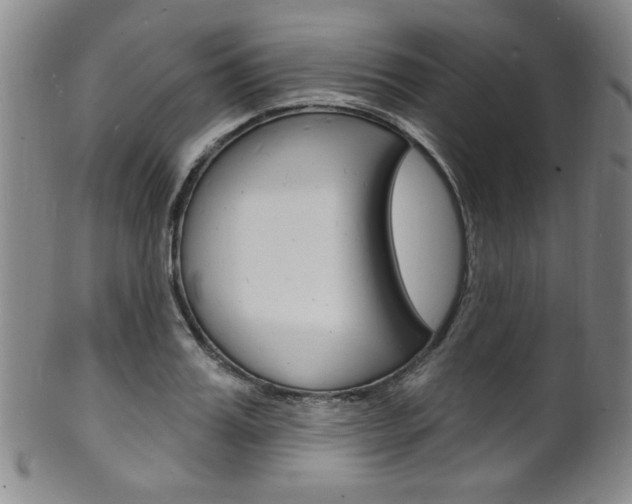 X0000101690987200807101204