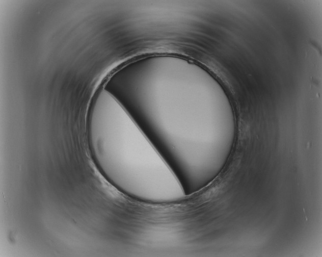 X0000101690988200807101204