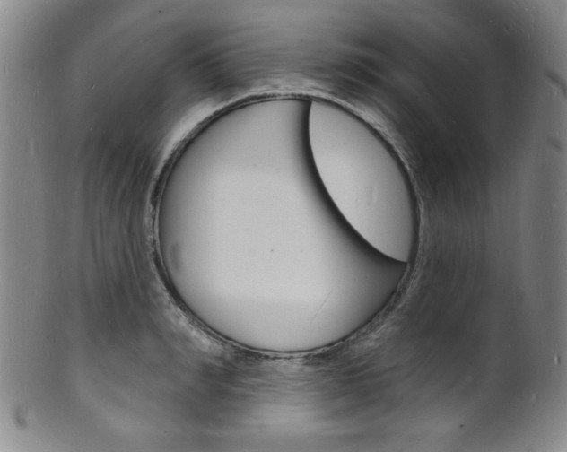 X0000101690990200807101203