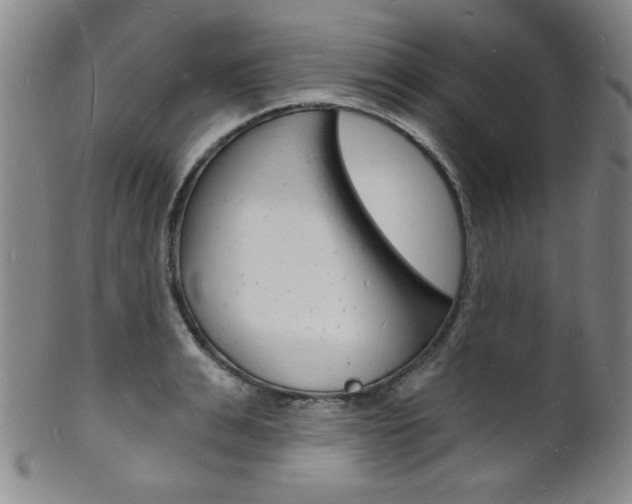 X0000101690991200807101203