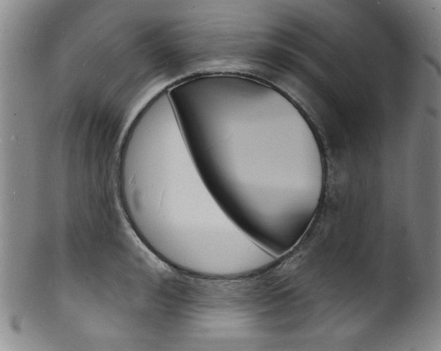 X0000101690992200807101203