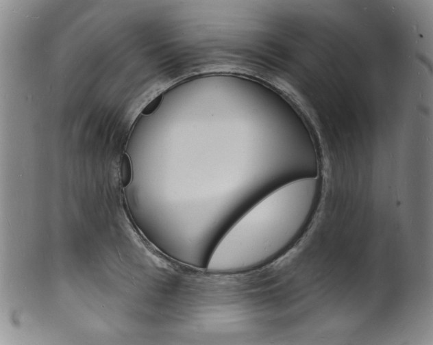 X0000101690993200807101203