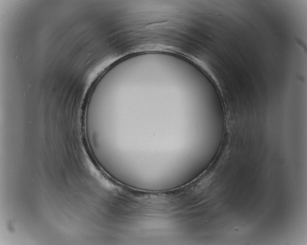 X0000101690995200807101203