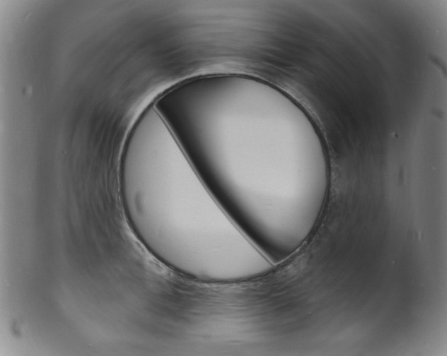 X0000101690996200807101203