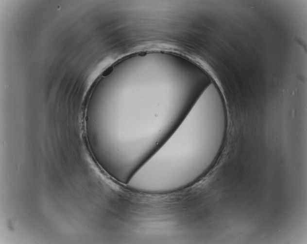 X0000101690997200807101203