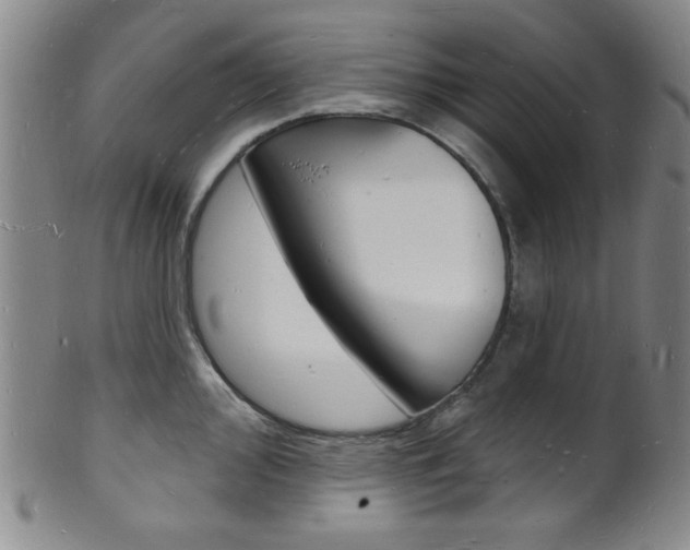 X0000101691000200807101203