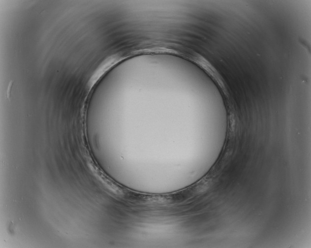 X0000101691002200807101203