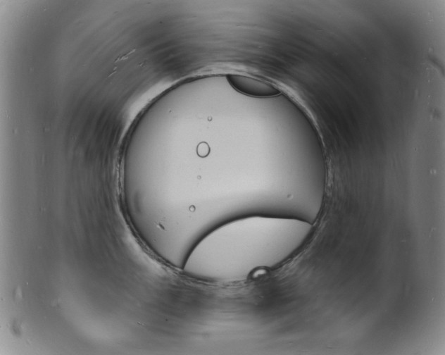 X0000101691003200807101203