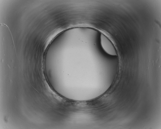 X0000101691006200807101203
