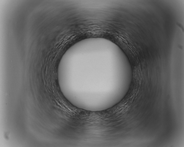 X0000101691009200807101203