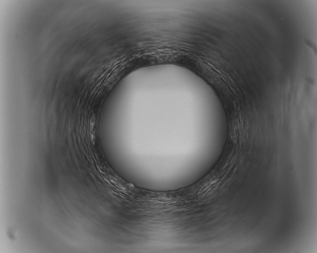 X0000101691010200807101203