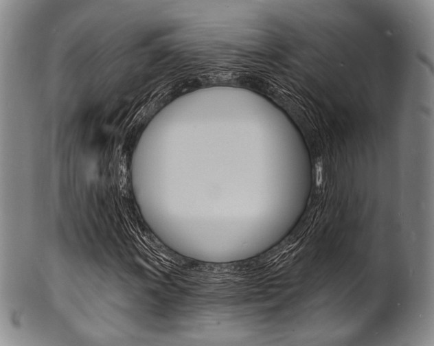 X0000101691011200807101203
