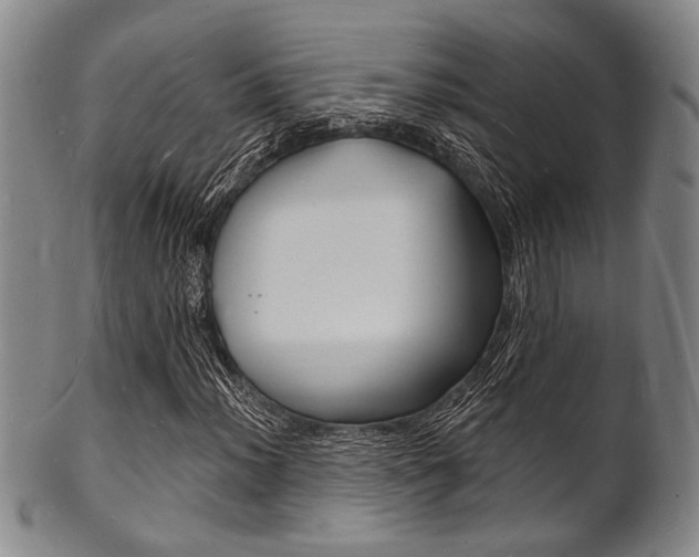X0000101691012200807101203