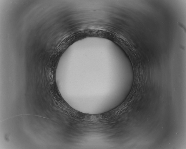 X0000101691013200807101203