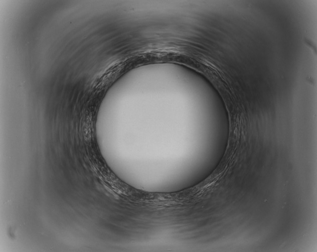 X0000101691014200807101203
