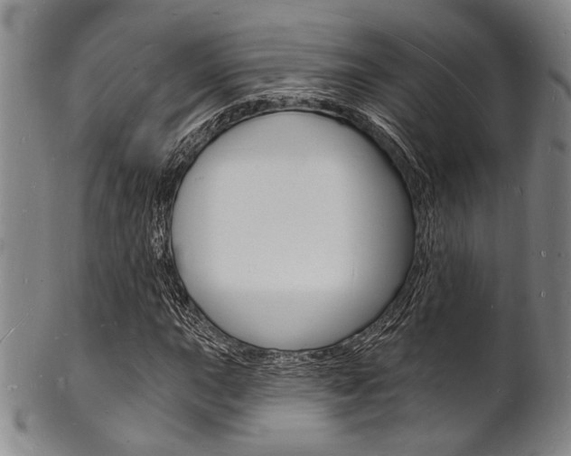 X0000101691015200807101203