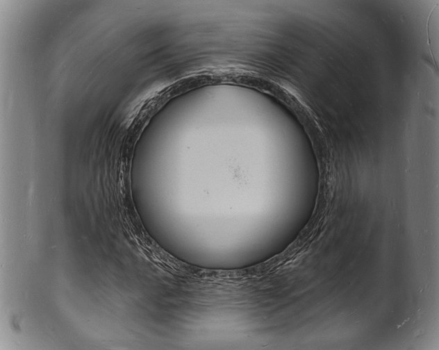X0000101691016200807101203