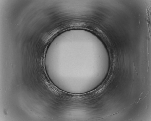 X0000101691017200807101203