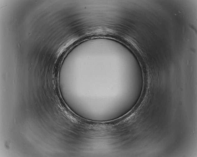 X0000101691018200807101203